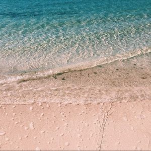 Meet your Posher, Ava